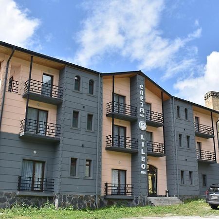 Lileo Inn Hotel メスティア エクステリア 写真