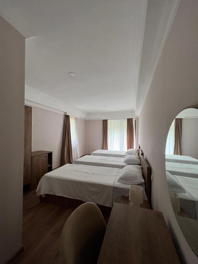 Lileo Inn Hotel メスティア エクステリア 写真